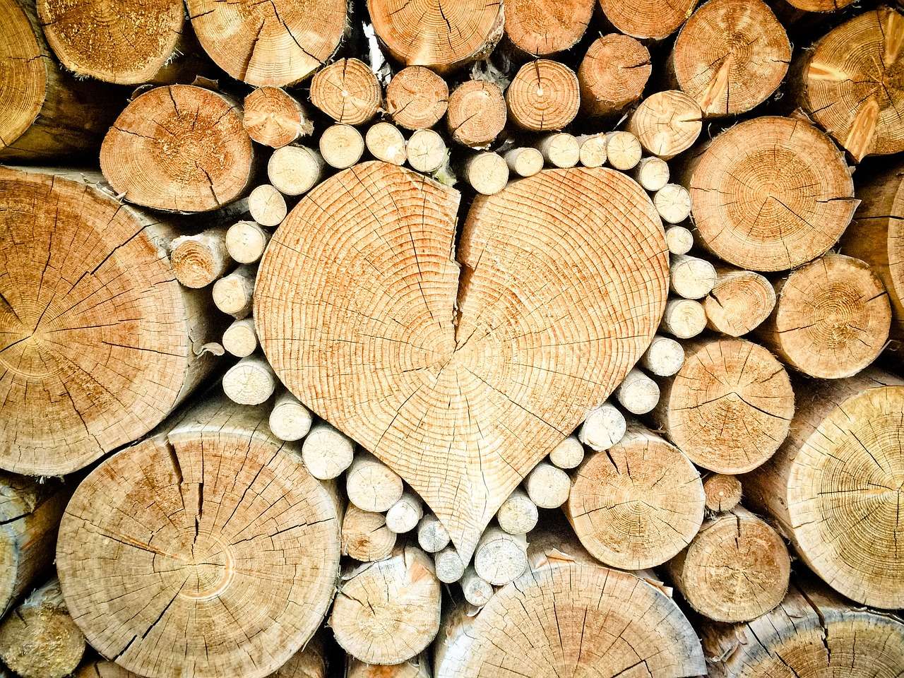 heart in wood